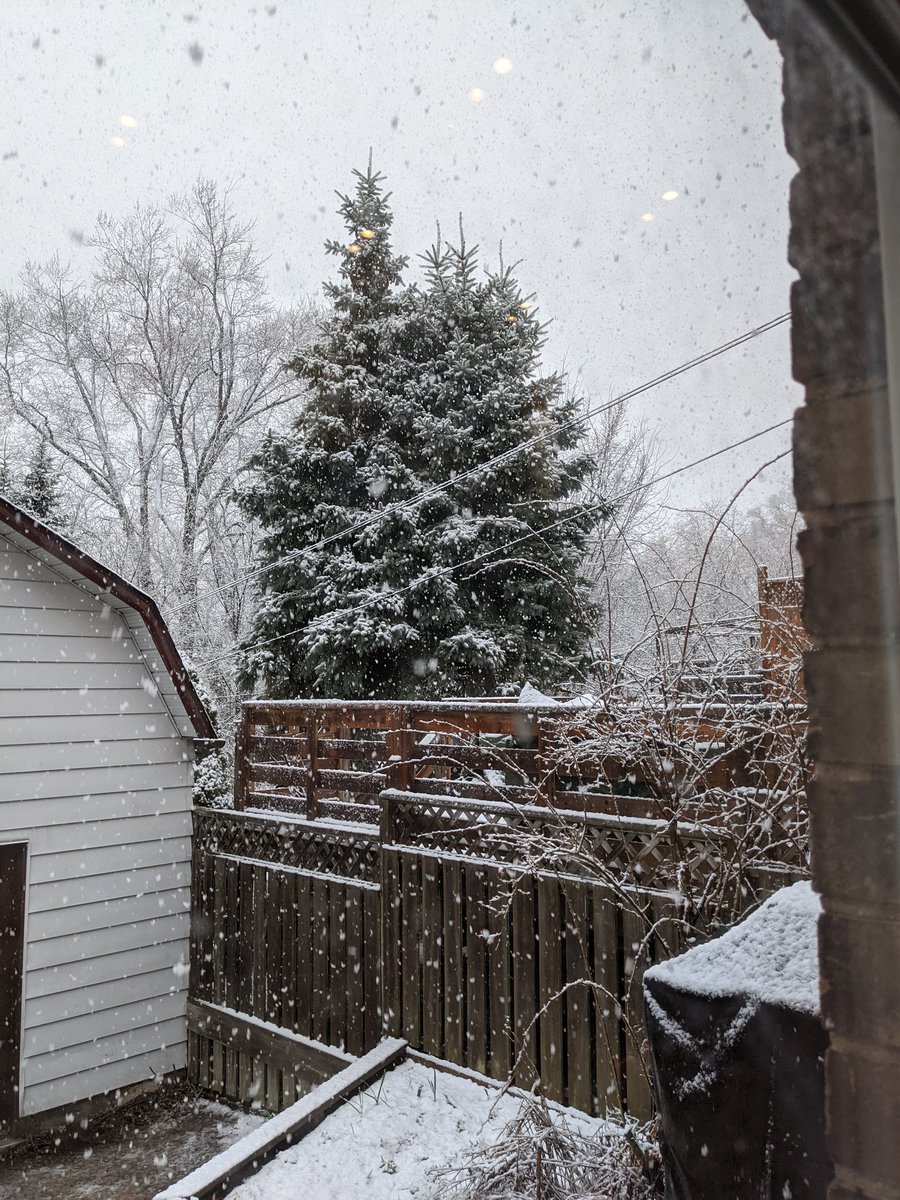 Robin Archer tweet media