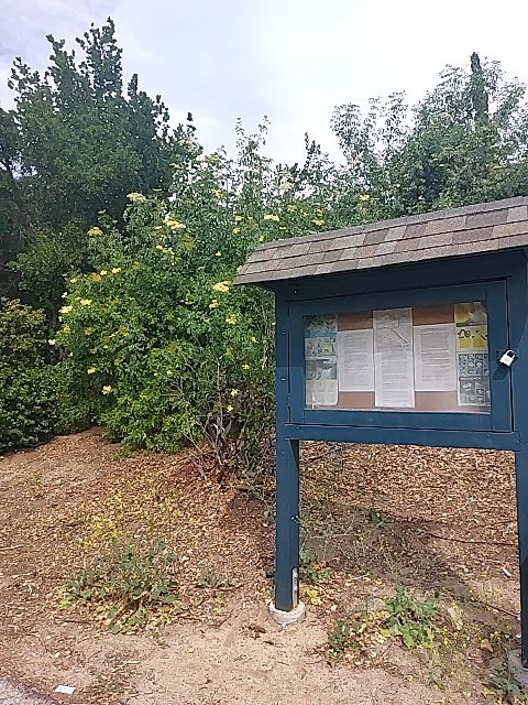 Luckyto127's tweet photo. Luckyto127 found #ethereum in a User vault at this location! Join me playing #coinhuntworld, It's awesome! https://t.co/nKQGNKQJbf #cryptocurrency #43820 https://t.co/xari4zFKYg