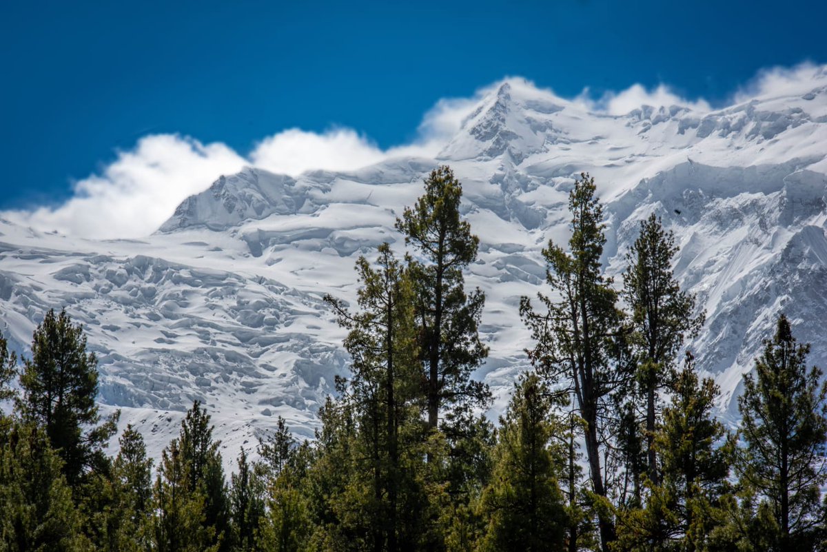 Fairymeadows Today 
#PakistanZindabad