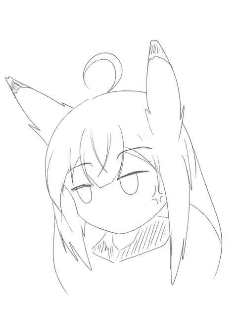 (⌒v⌒)おはようございます 