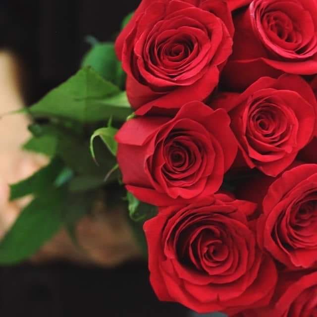 إنّ العُيون تنسى من رأت ، وَلكن  
القلُوب لا تنسى من أحبت .❤️

 #من_اول_حب_لك