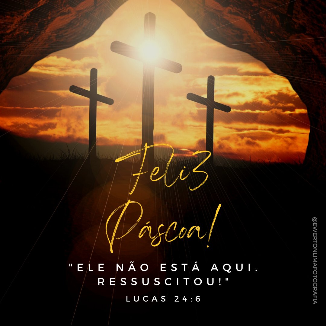 Ewerton Lima tweet media