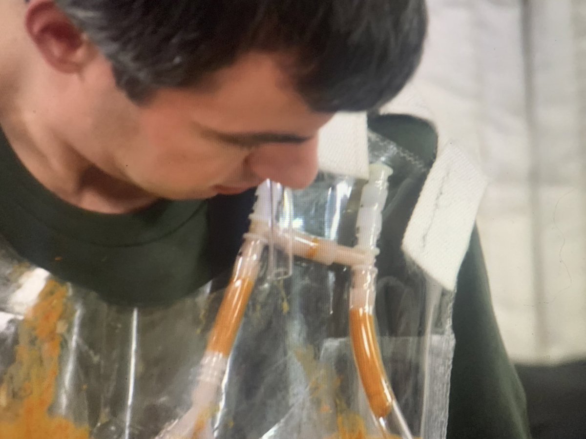 neopet sematary tweet media