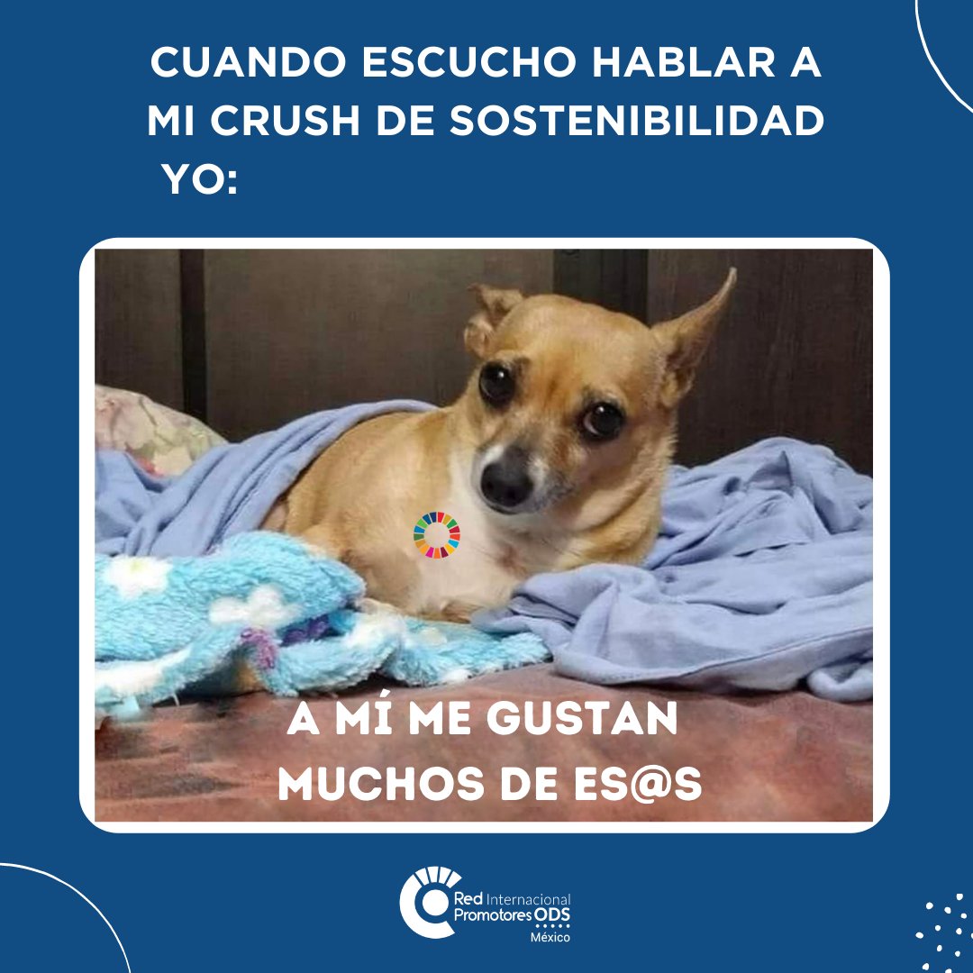 🥰¿Te gustan los temas de sostenibilidad?🥰🌎

Te invitamos a registrarte para ser parte de esta Red Internacional de Promotores ODS México.

👉 lnkd.in/d7csFQi