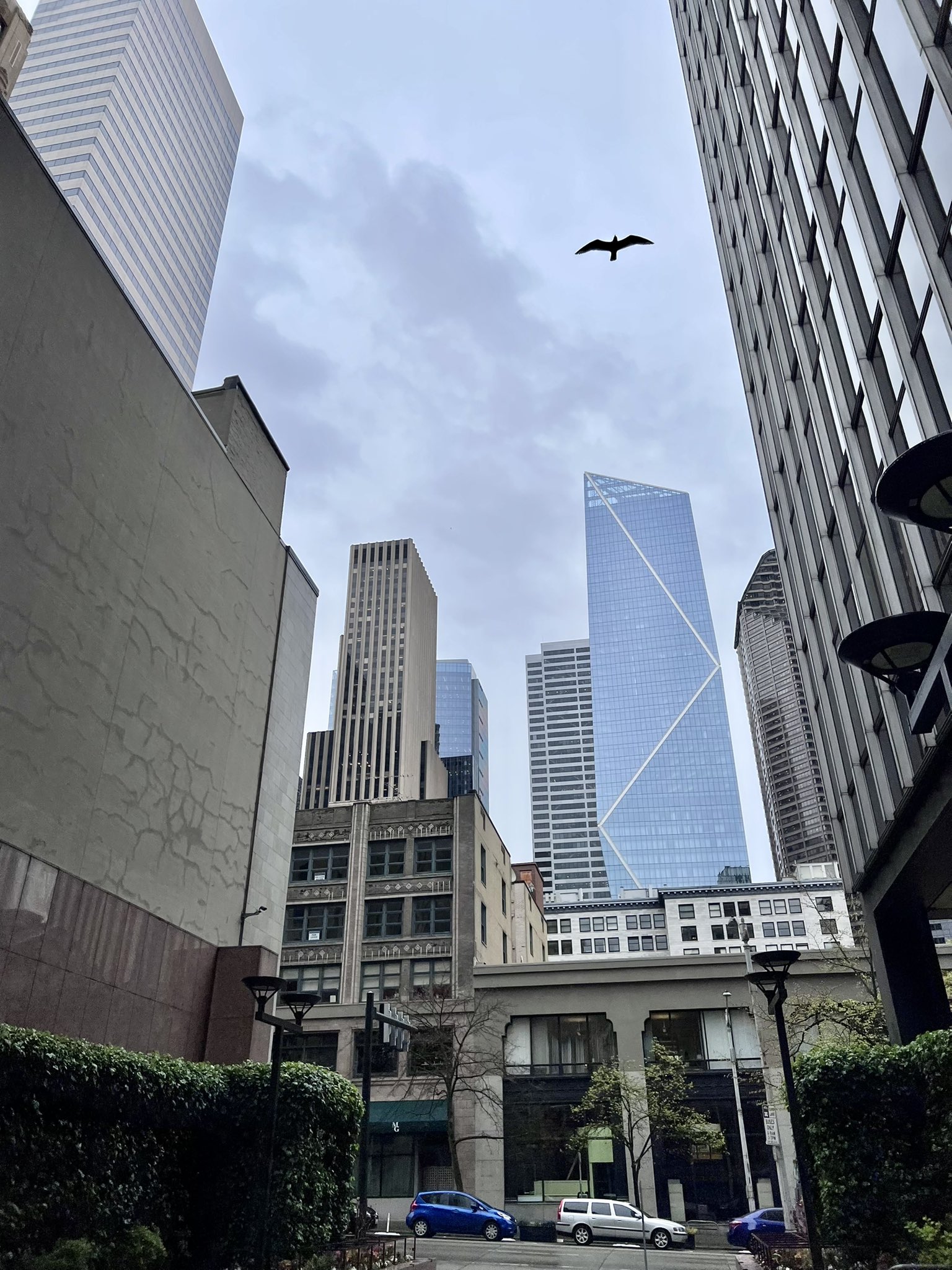 BoxLunches Seattle (box_lunches) / Twitter