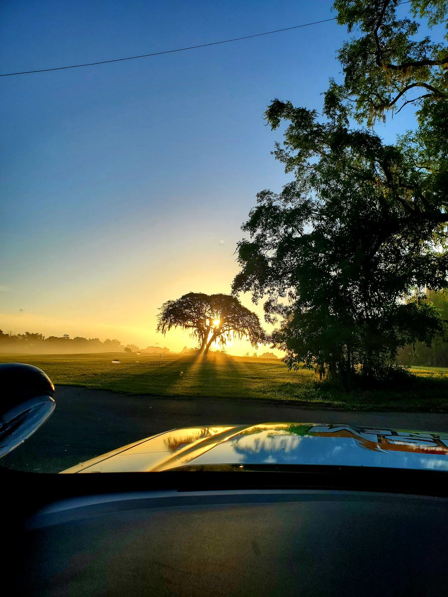 KeniaJA3's tweet photo. My view yesterday morning on Easter Sunday... 🌅

Hope you all had a Happy and Blessed Resurrection Day!! 🤍💛🤍 

👑 HE IS RISEN!!! 👑

#HappyEaster2022 #ResurrectionSunday #ToGodBeTheGlory https://t.co/u2ygMIaFmj