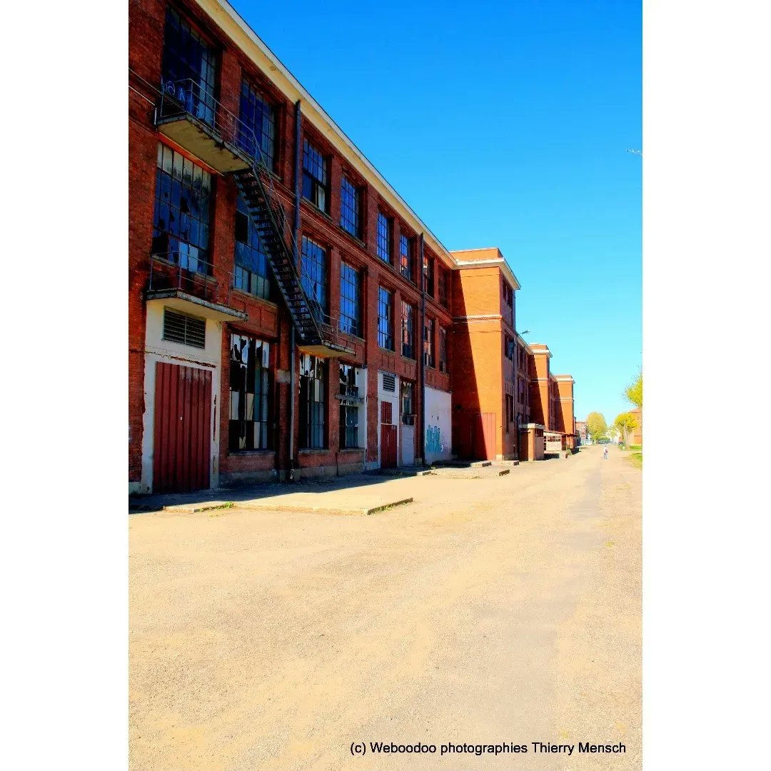 Weboodoo_net's tweet photo. Ciel bleu, urbex et street art
#urbex #abandonedplaces #bluesky #blueskies #streetart #graffiti #art #urbexfrance #photographer #streetphotography #urbanart #urbanphotography #urbandecay #weboodoo_photographies #urbanexploration #photographer #photography #photographie https://t.co/Jzkjj3VHbC