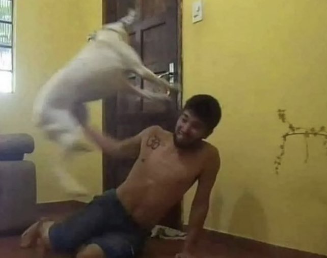 Eu: “chegaaaa! parei… não quero mais brincar!!!”

Meu cachorro: