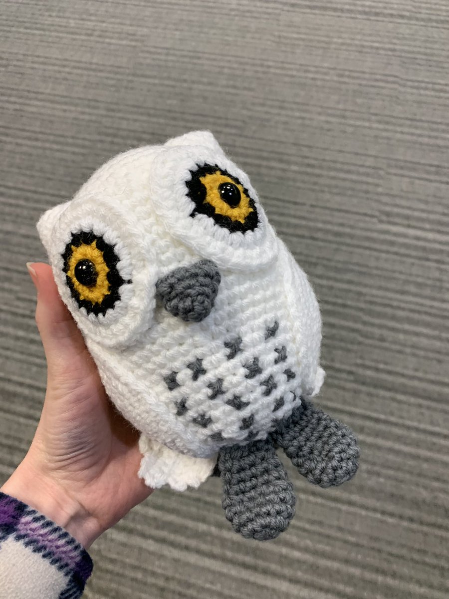 da_s_j's tweet photo. My classmate made me a crotchet owl over the weekend bc they heard my it was my bday. They brought in brownies too. 🥹 made my life. Look how cute 🤍 https://t.co/mWrkFnq0bh