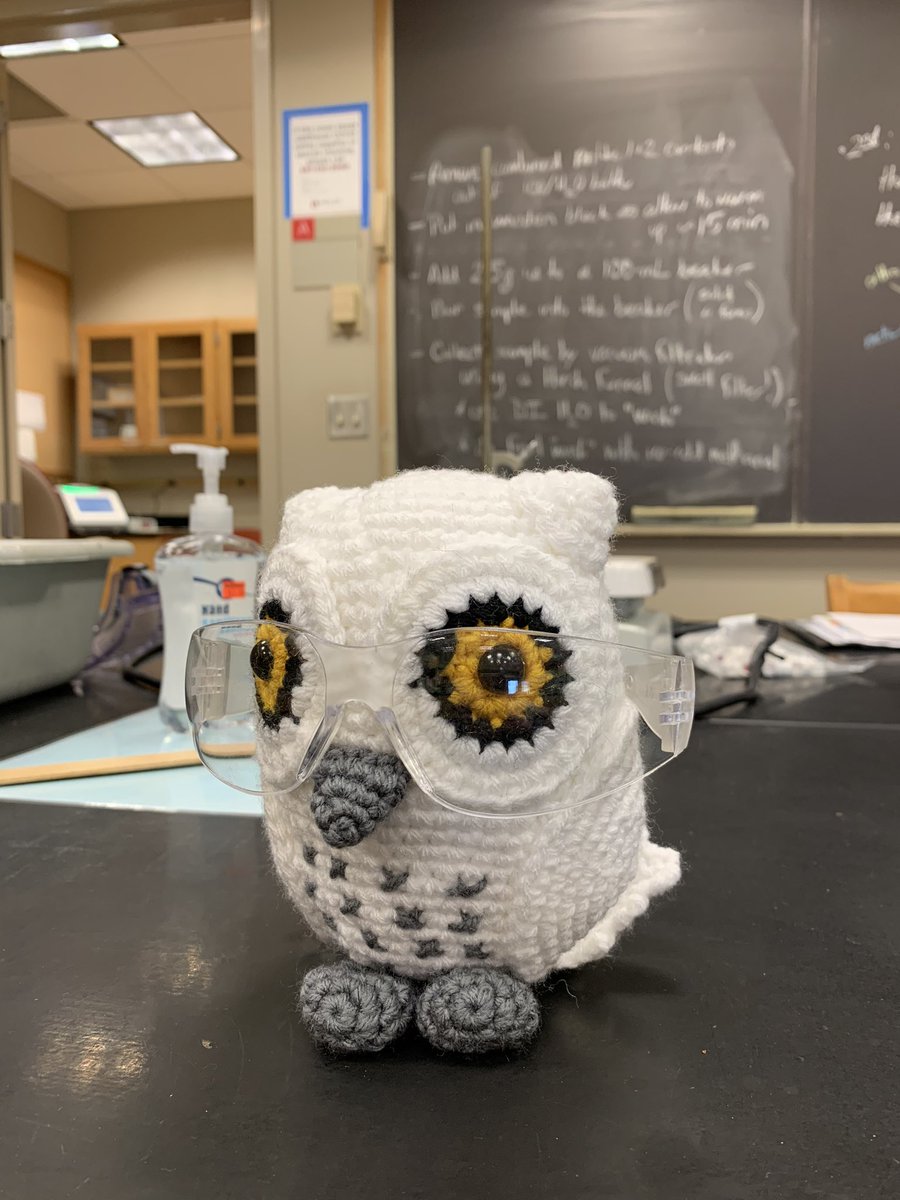 da_s_j's tweet photo. My classmate made me a crotchet owl over the weekend bc they heard my it was my bday. They brought in brownies too. 🥹 made my life. Look how cute 🤍 https://t.co/mWrkFnq0bh