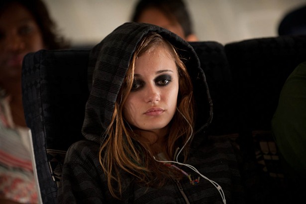 Wildlike tweet media