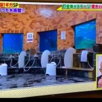 渡辺恋のツイート画像