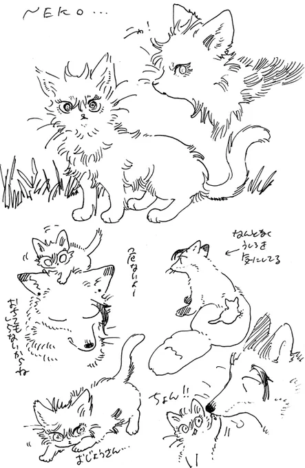 🐱と🦊 