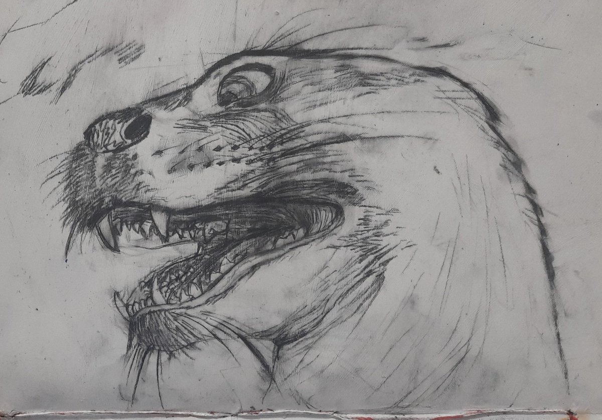 azure413 (@azure4131) on Twitter photo 