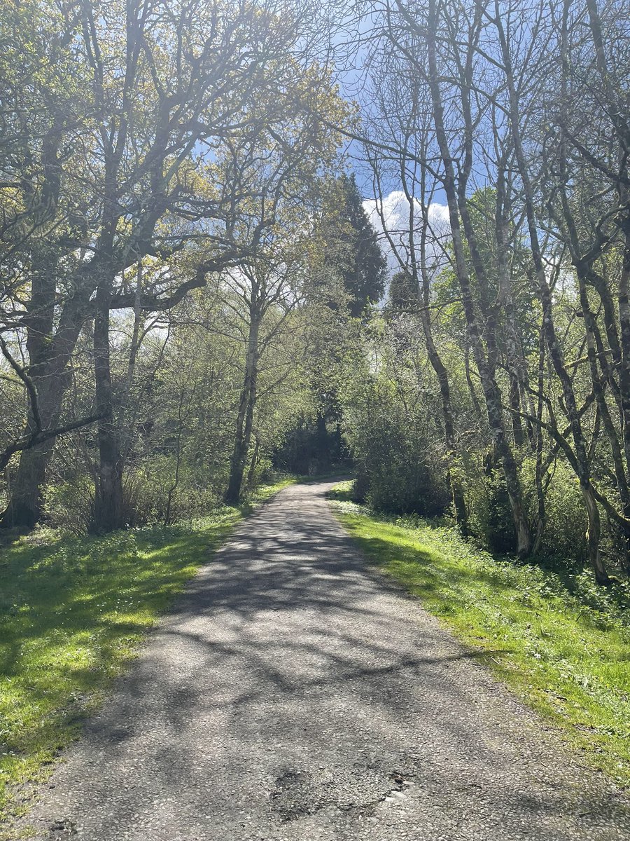 alphargulus's tweet photo. #killarney #filmschool2022 #念尘不闻世 #nature https://t.co/2k6Korh696