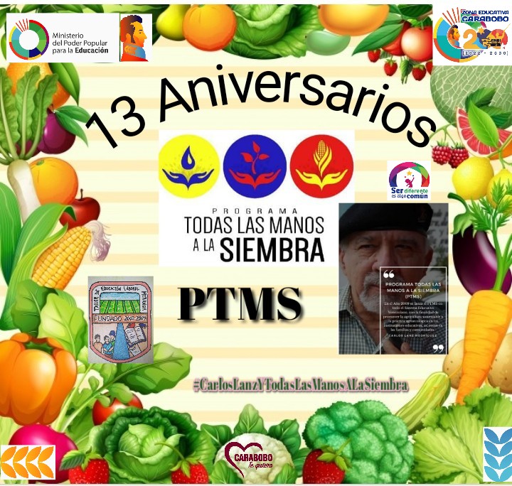 TELMIRANDA tweet media