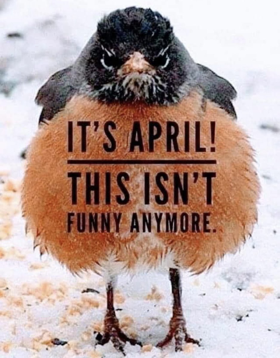 ky3steve (@stevegrantky3) on Twitter photo 