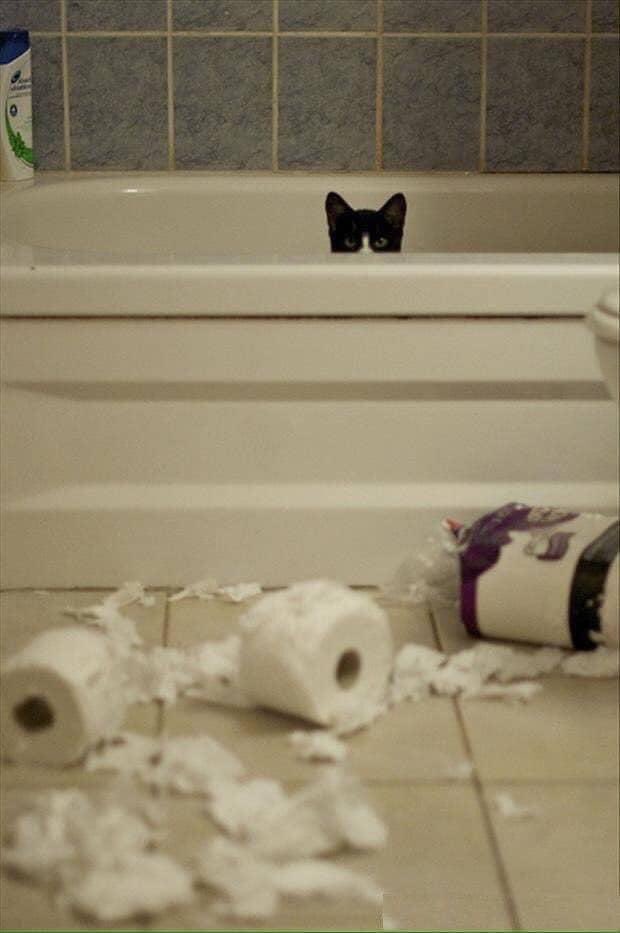 It’s not George, but it could be. 😆😹😆