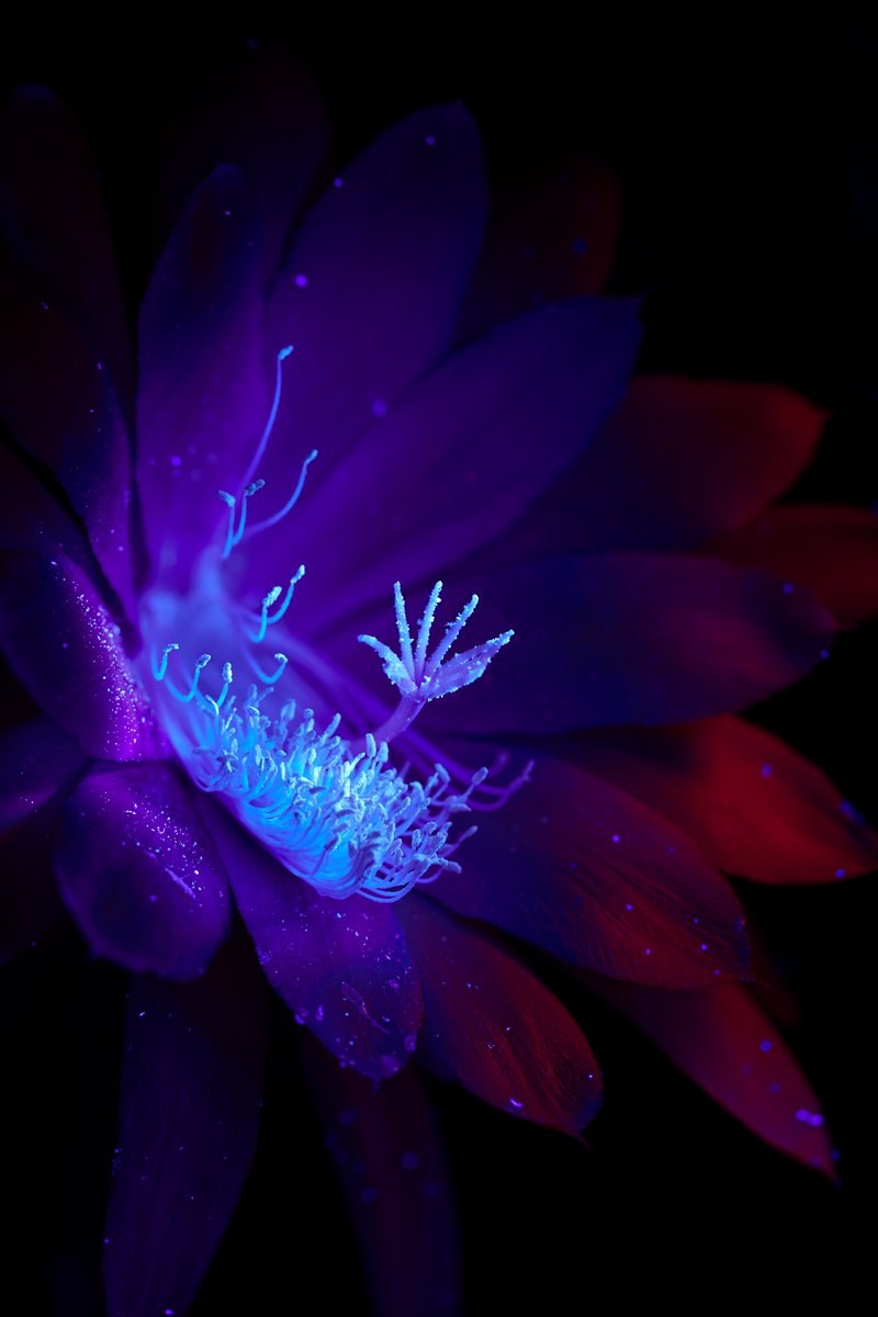 Glenn ✨✨ tweet media