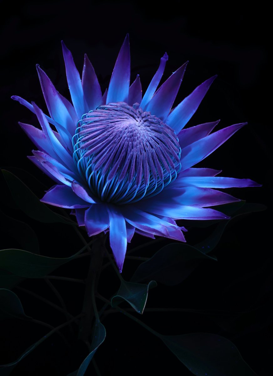 Glenn ✨✨ tweet media