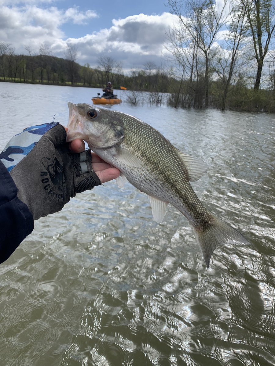 RB_Bassin's tweet image. Blustery day but the @caneyfoutdoors #HobieProAngler360 put me where I needed to put a few on the #ketchboard. #Spring is trying to get here. @Abu_Garcia  paired with @ZOOMBaitCompany was the only thing that got it done today. Can’t wait for the next day! #lizardman #bassfishing