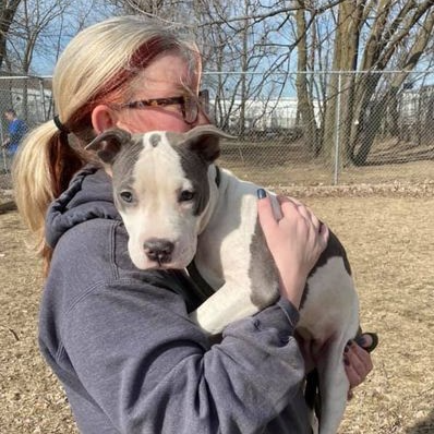 Safe Humane Chicago tweet media