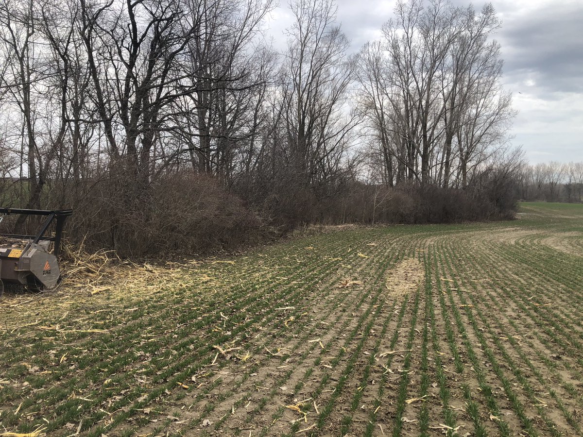Benie19's tweet photo. We did a trim along a field edge. Thanks to @scott_malone_5   Before and after pics. https://t.co/miLzKZxor9