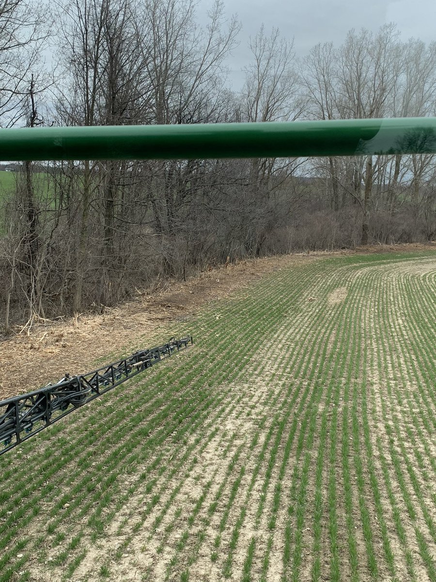 Benie19's tweet photo. We did a trim along a field edge. Thanks to @scott_malone_5   Before and after pics. https://t.co/miLzKZxor9