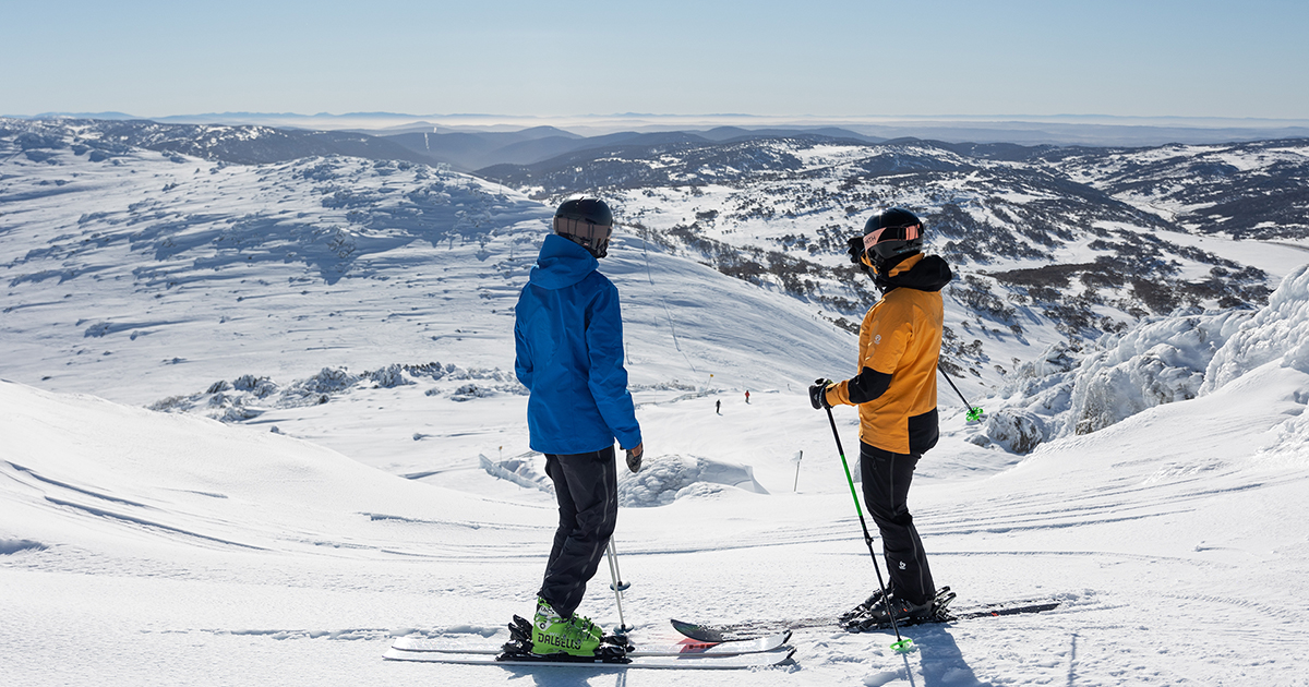 Perisher tweet media