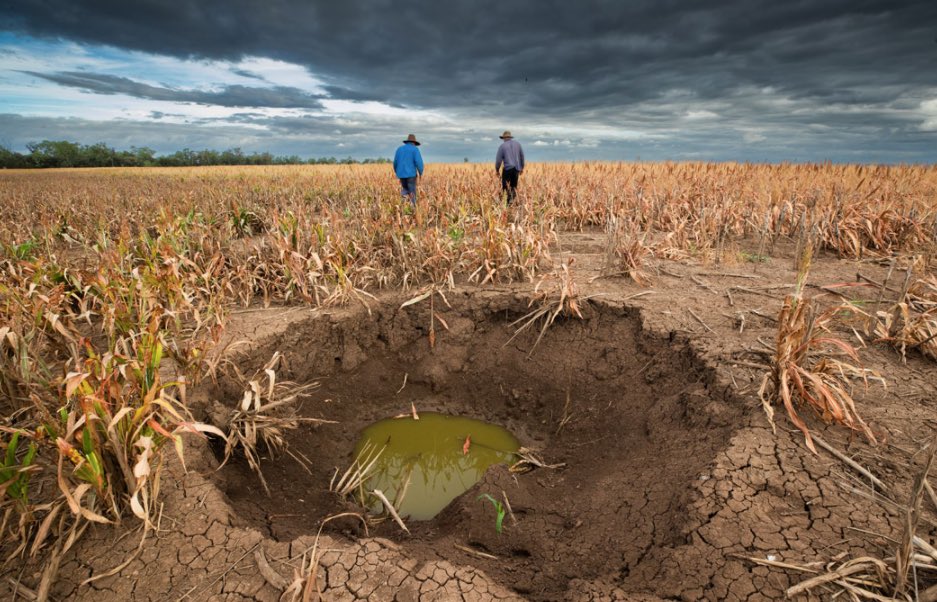 Charlotte Grieve tweet media