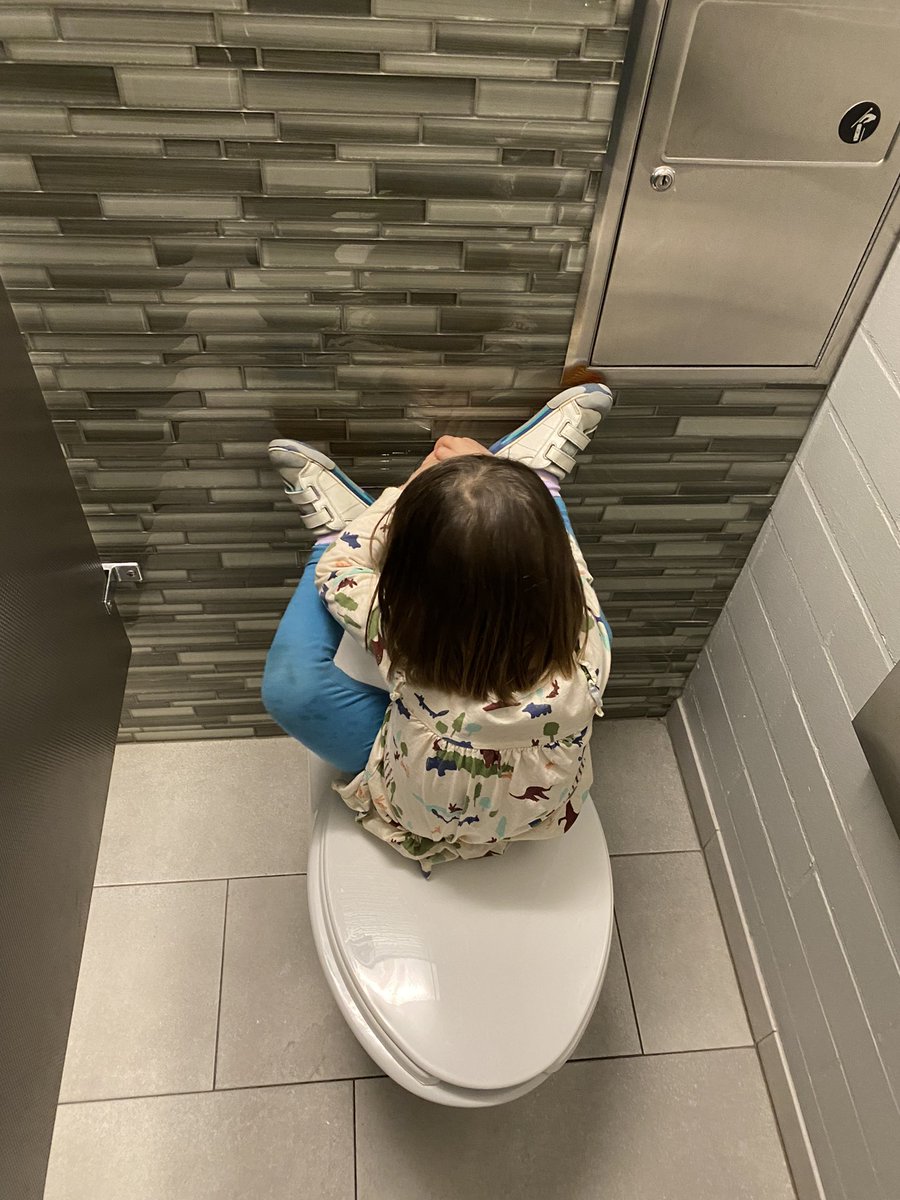 EnglishLabDad's tweet image. One way to flush a toilet without using your hands