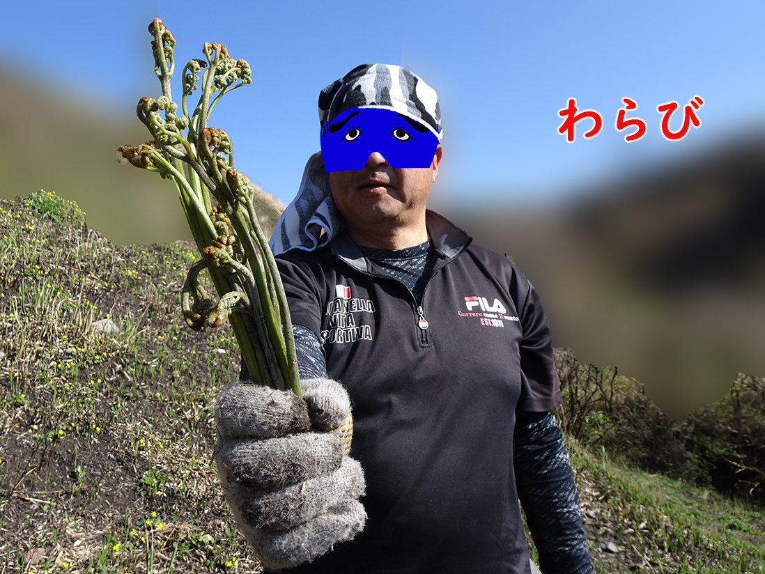 春は山菜だな。

釣好大全九州（釣りブログ）
　　👇
kyusyu-ins.com/2022/04/19/202…
今回のお題は『家の中でも車の中でも・・迷惑である』です。