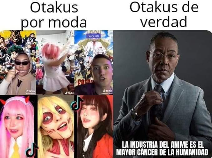 Duerman a los otakus de Tik Tok