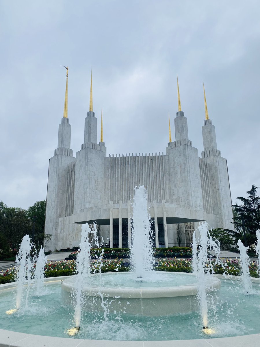 Jackson Cluff tweet media