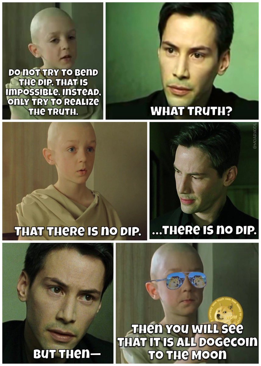 There is no dip. #Dogearmy #Doge #Dogecoin #DogecoinToTheMoon