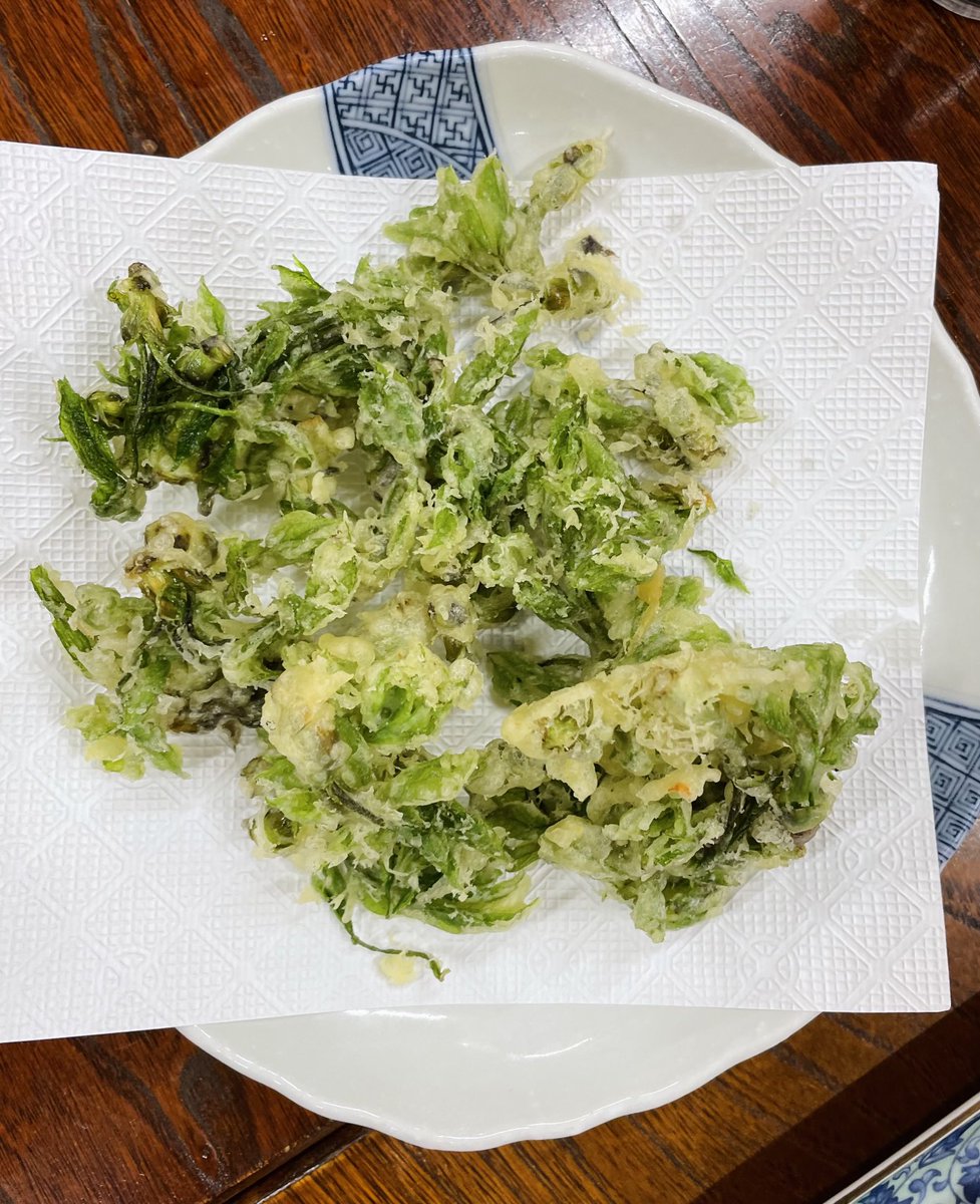 山菜のご紹介、昨日　#こしあぶら　の天ぷらをいただきました。タラの芽の仲間らしいですね！

foodslink.jp/syokuzaihyakka…