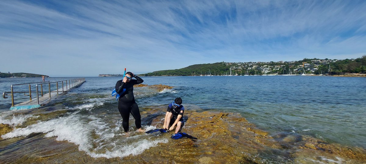 First day back in #SydneyHarbour after the #storms! The sun is out and the vis is improving!