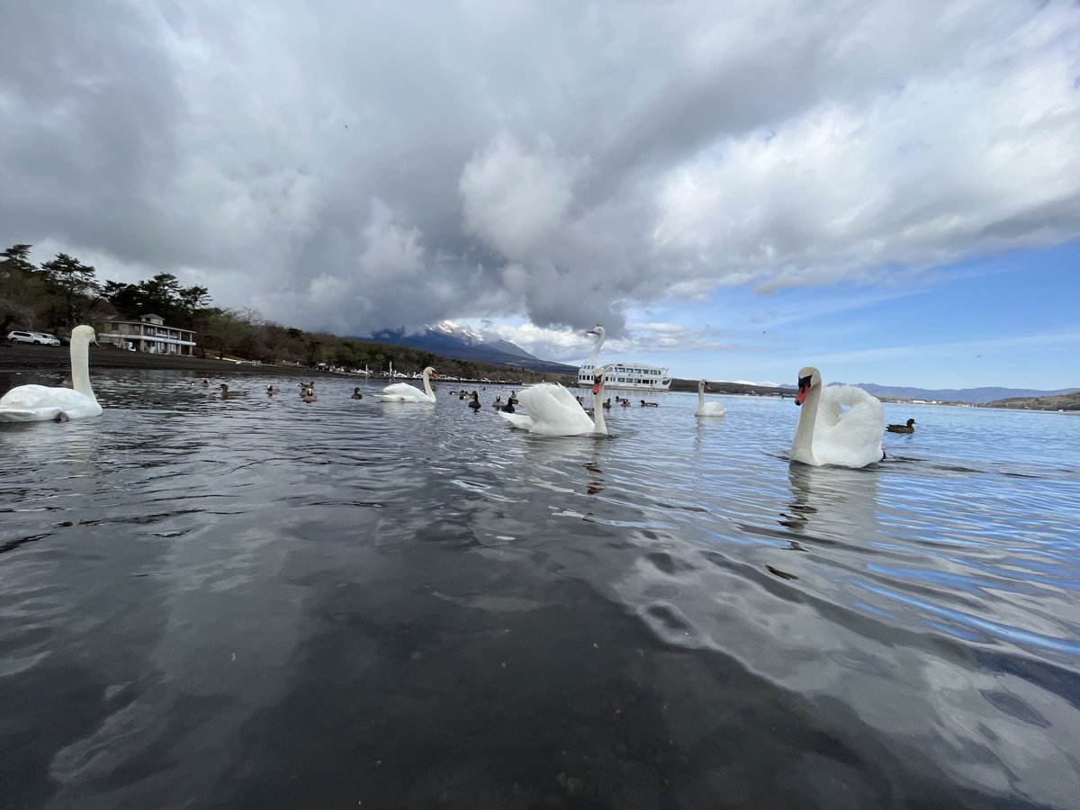 これで富士山が見えればサイコー…