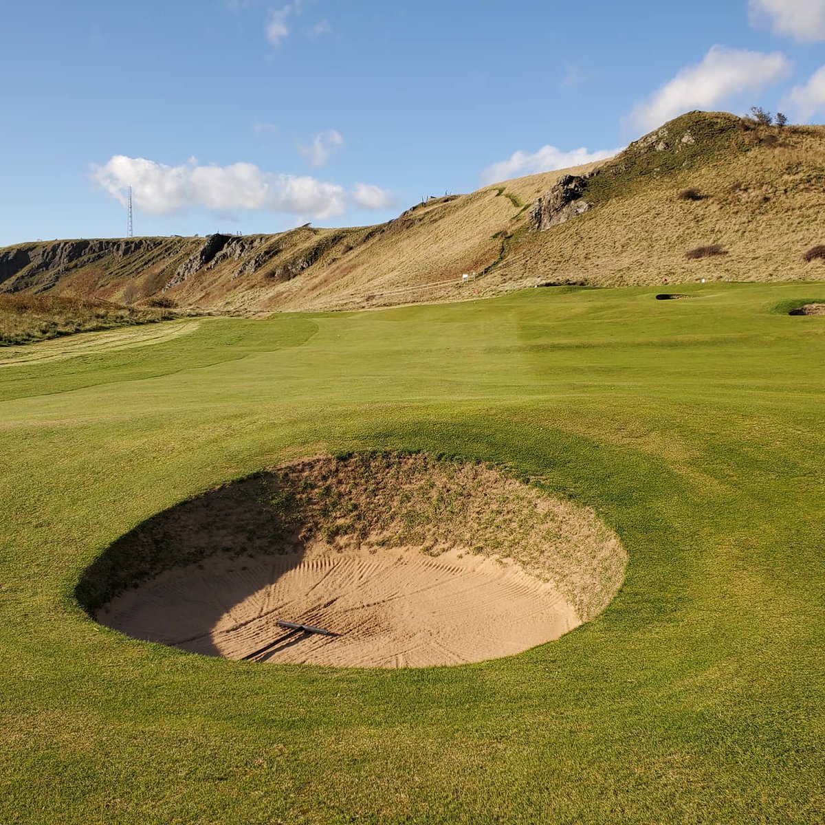 One Bearded Golfer tweet media