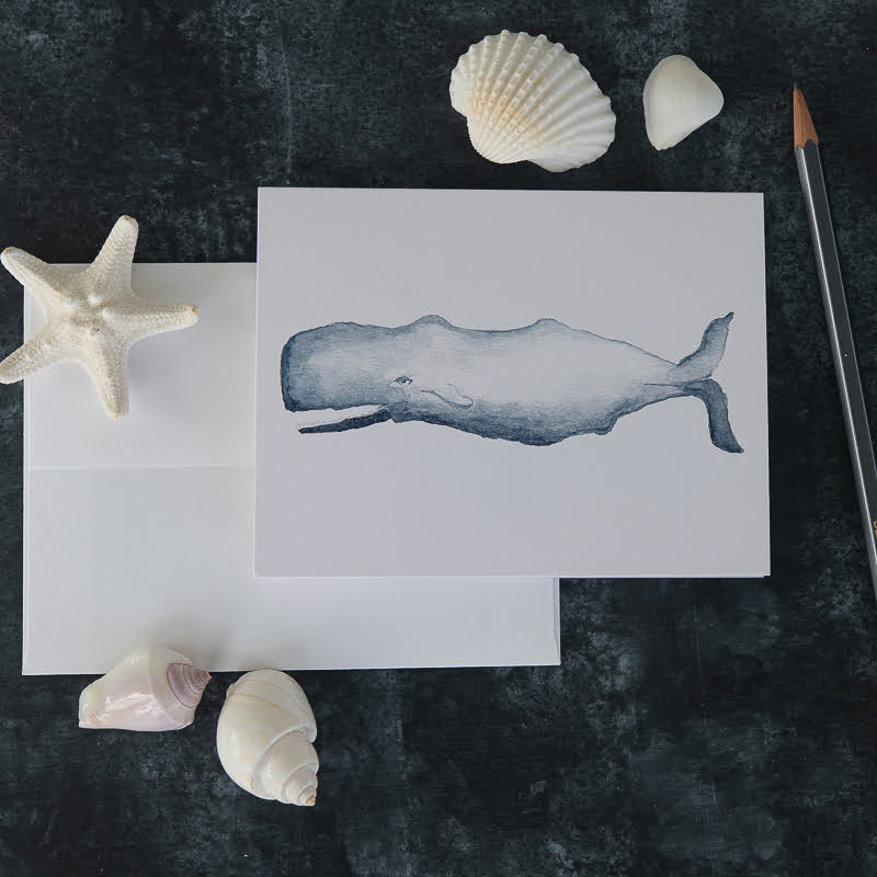 I "whaley" hope you like this collection:

shop.findingsilverpennies.com/collections/se…

#watercolor #watercolorwhales #findingsilverpennies