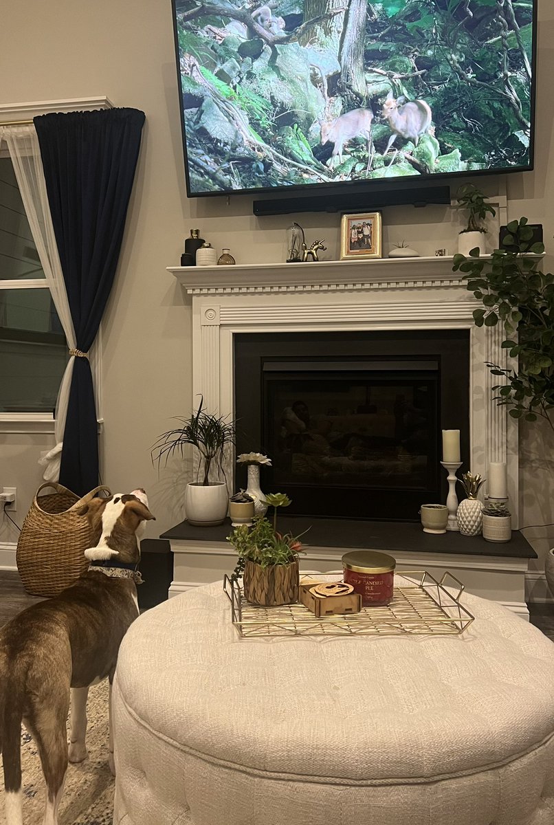 Sam can’t get enough of the new <a href="/netflix/">Netflix</a> National Parks series narrated by <a href="/BarackObama/">Barack Obama</a>