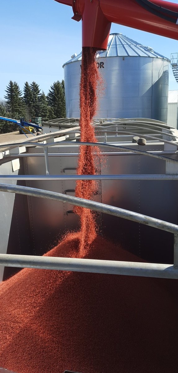 Eric Brodie tweet media