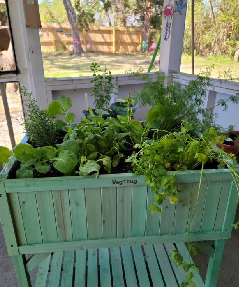 HillaryMike9's tweet image. 