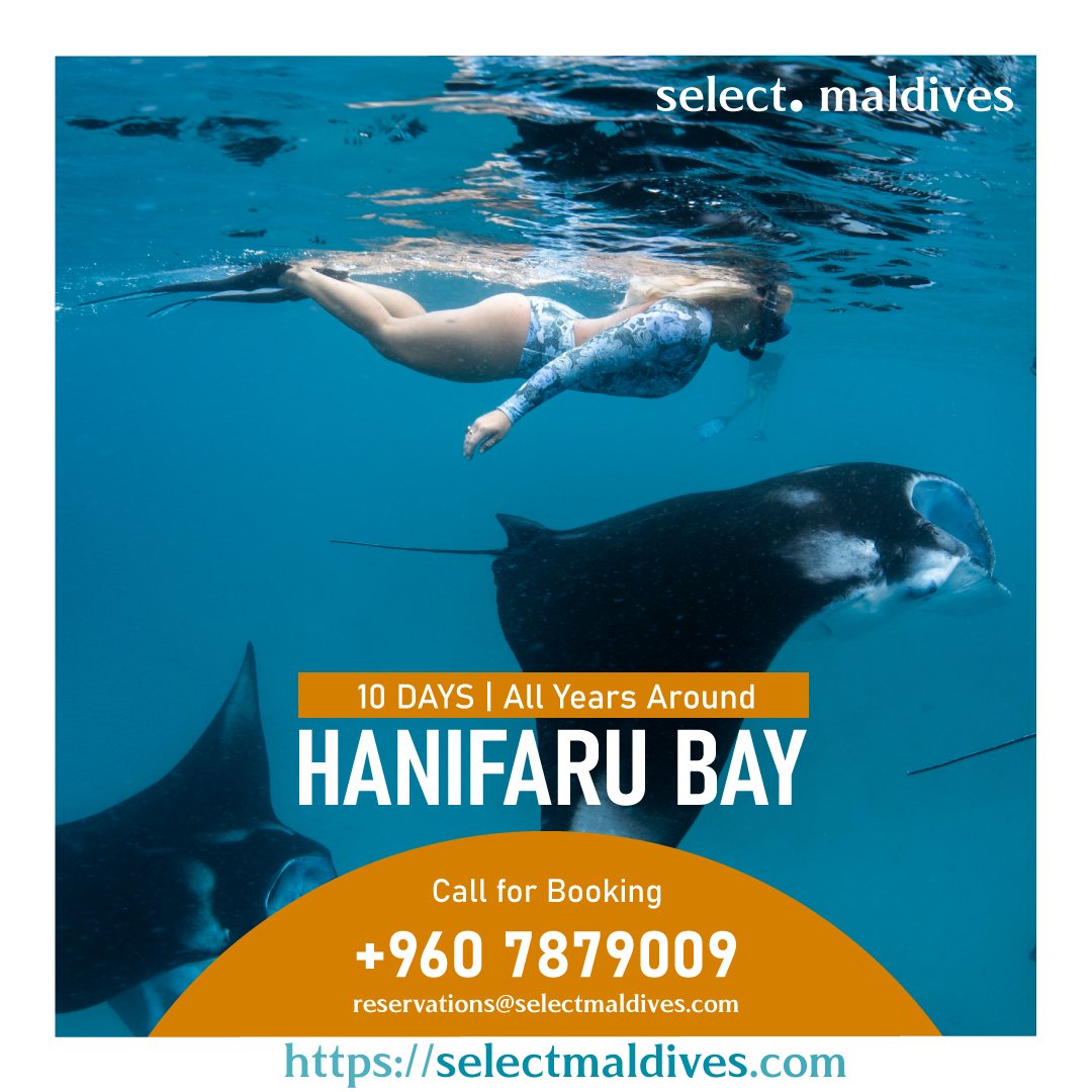 Select Maldives tweet media
