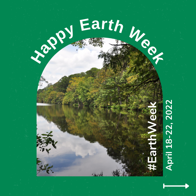 🌿Happy Earth Week! We couldn't be happier to be proudly greening Texas for 25 years. Photo: Angelina National Forest, Nacogdoches, TX 

#earthweek #gogreen #localbusiness #compost #texasgardening #newearthcompost #earthweek22