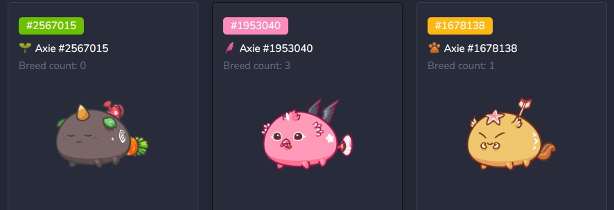 GamesTwenty1's tweet photo. Inviting #AxieinfinityScholarship !

🥇🥈🥉 Scholarship #30🥈🥉

We are looking for scholars.

-Make sure you Follow this profile. 
-Comment ‘I Want Scholarship’ on this tweet.
Check the Axie team: https://t.co/VYbEgWiXlW

#Axieinfinity #AxieInfinityScholar #AxieScholars #Axie https://t.co/s6hgKrpOGo