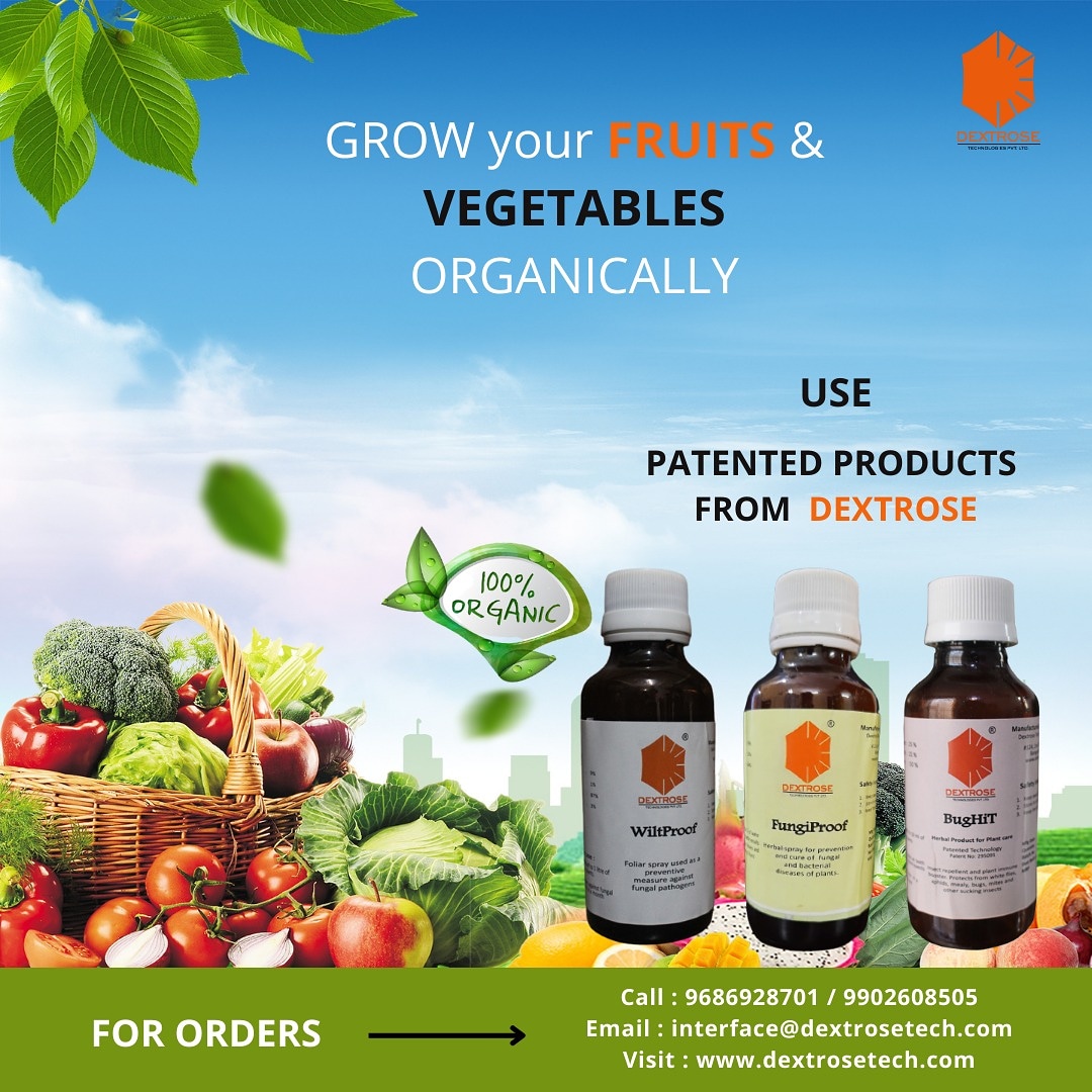 Aravind39758402's tweet image. Plant roots are vulnerable to nematode attack. Now protect your greens from root-knot nematodes and fungal diseases like anthracnose, black spot, soft rot, mildews, etc. Use WiltProof, BigHit, and FungiProof from Dextrose. 

#dextrosetechnologies #biotechnology_science #disease