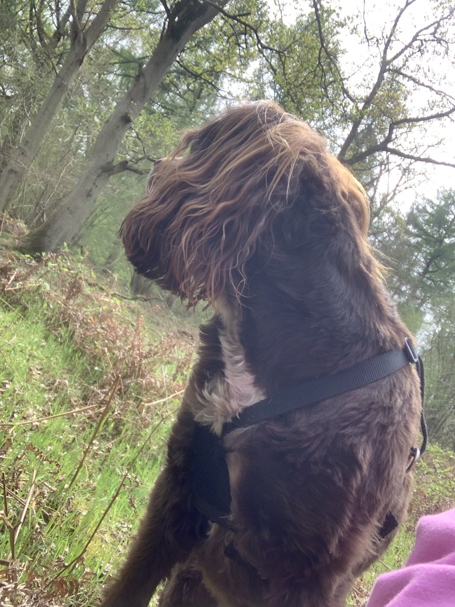 Looking back at an awesome weekend. Just what was needed. Sometimes we wait until drama is over before we draw a line under it. But sometimes we need to take a break in the middle of tough times &amp; enjoy a few days of peace in different surroundings. 🐾