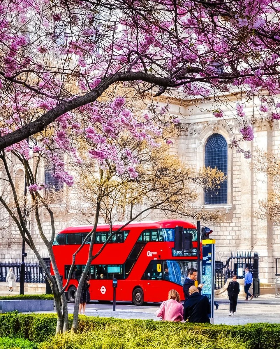 ❤️❤️🌸Spring in London!🌸❤️❤️ 
Thank you @garrettbarry70 👏😍
Happy Bank Holiday Monday 💜🇬🇧 #easterweekend #easter #stpaulscathederal #londonbus #springblossoms #springinlondon #spring #londonpopbox