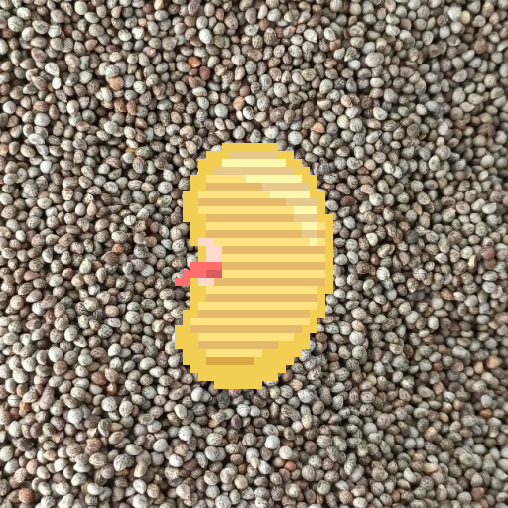 ★국내산 들기름 에어드랍 이벤트

1. 팔로우
<a href="/Weirdbeans2/">Weird beans</a>

2. 리트윗 + (한국유저 태그 3명 / 필수아님)

3. 디스코드 입장
discord.gg/4jWpnBAqQU

4. 디스코드 -> # "들기름 이벤트 인증"에 참여 인증하기

●추첨: 10명 보상 : 150ml 들기름 10병
●자격 : 전원참여
●마감일 : ~ 04-30  23:59